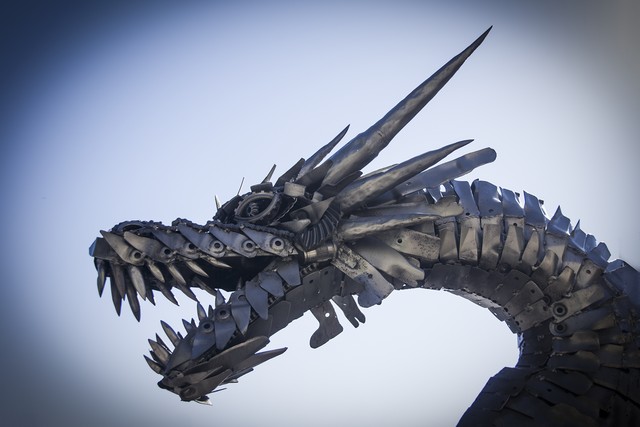Dragons Beware - Photography by David Willis